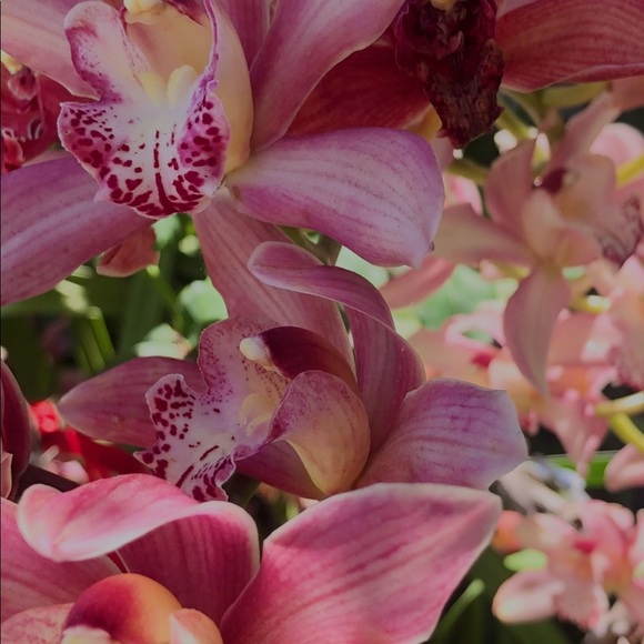 Meet your Posher, RF - Picture 7 of 16